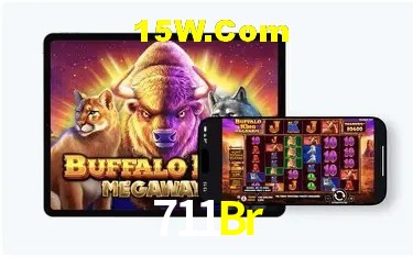 Statistics 711Br